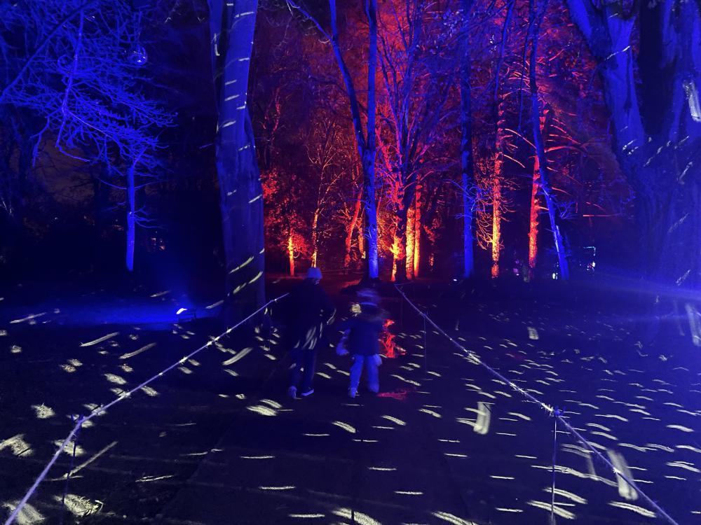 Town Gardens light trail delights visitors