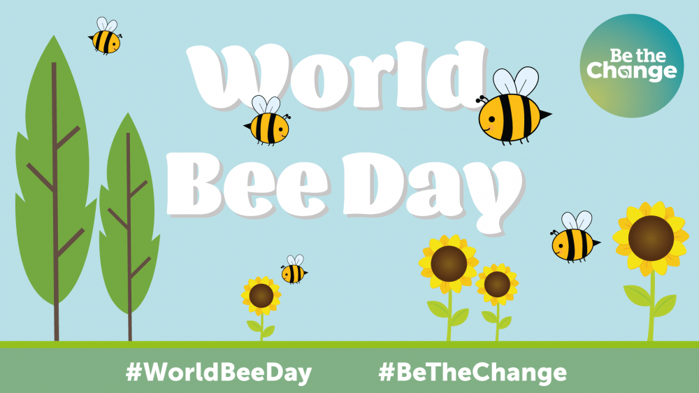 Swindon Borough Council shows its support for World Bee Day