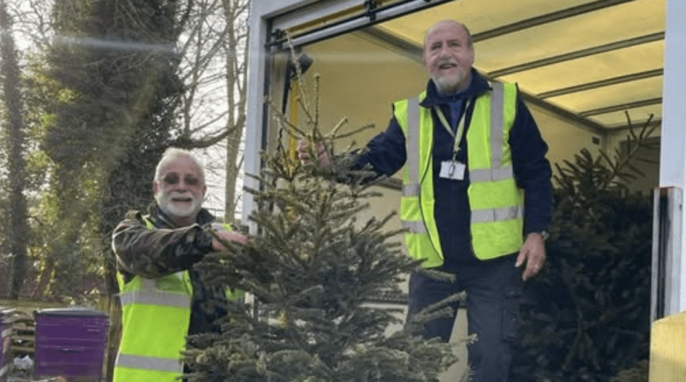 Christmas tree collections available in Swindon