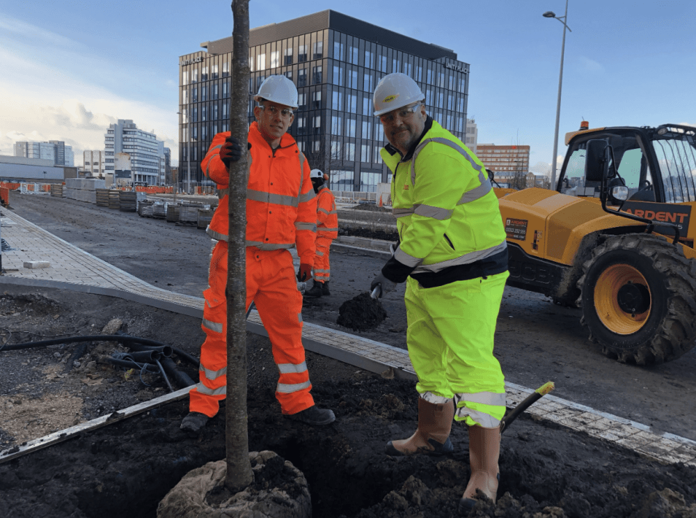 Cllr Jim Robbins, Leader of Swindon Borough Council, planting a cherry blossom ‘Sunset Boulevard’ tree at Fleming Way (right), with Fleming Way Project Manager Liam Hill-Davis