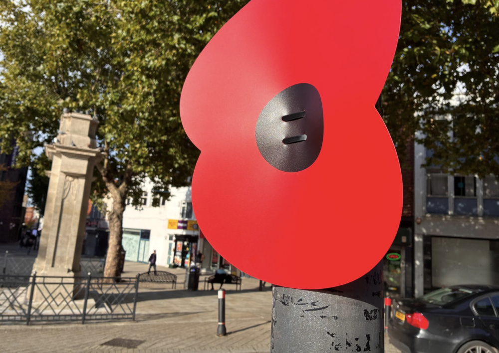 A thousand poppies to appear across Swindon to honour the Fallen