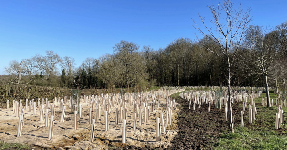 All welcome to help look after Swindon’s natural environment