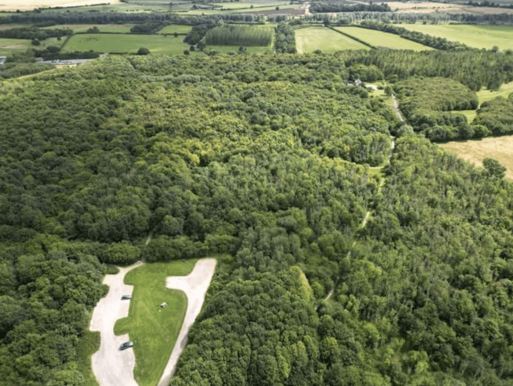 Aerial view of Nightingale Wood, as the Council works to plant more than 10,000 trees