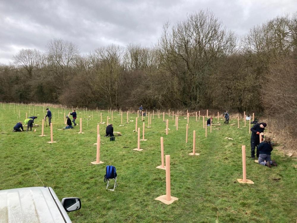 Volunteers lead Swindon's 10,000 tree planting push