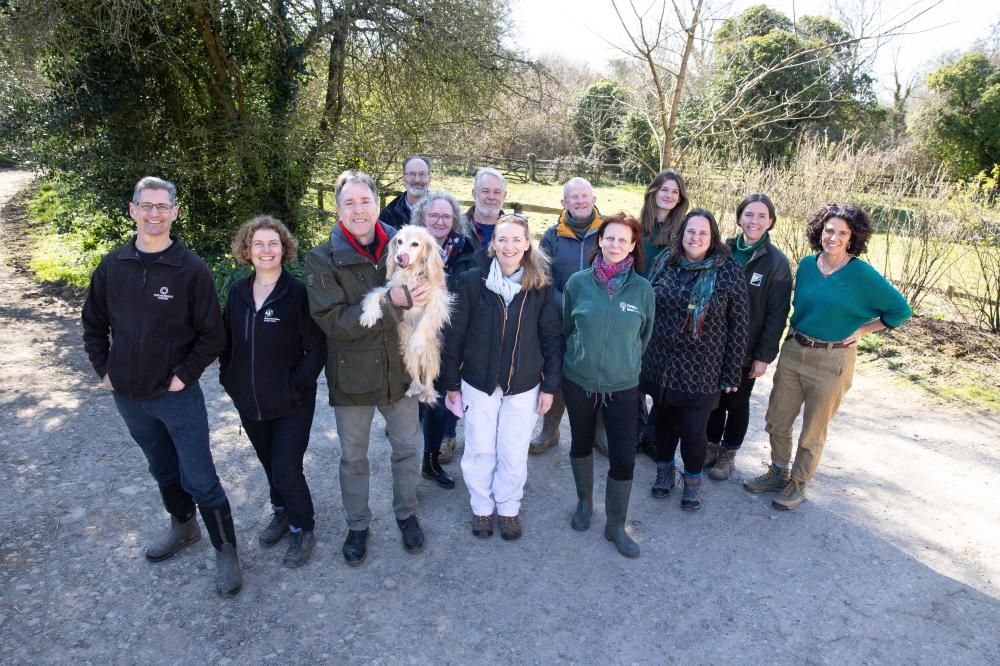 Members of the forest team