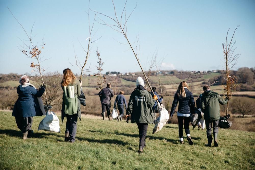 Swindon woodland to form part of new national forest