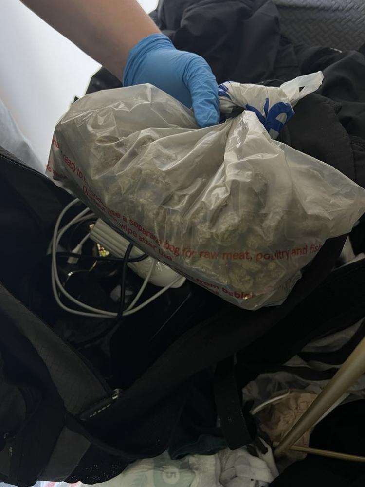 Seized cannabis