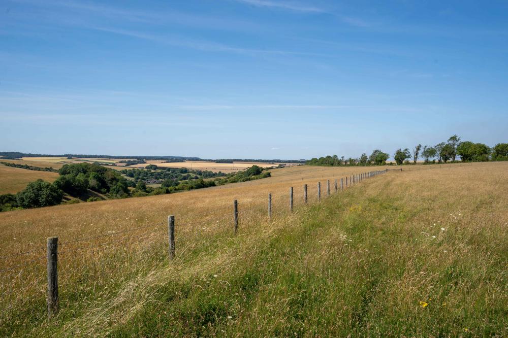 Coombe Bissett Down 