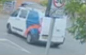 Van driver is possible collision witness