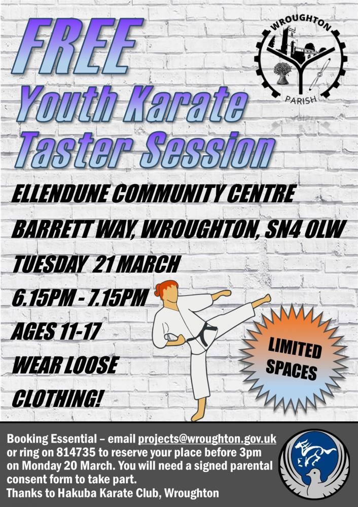 Wroughton Parish Council join with local karate club to host free taster session for young people