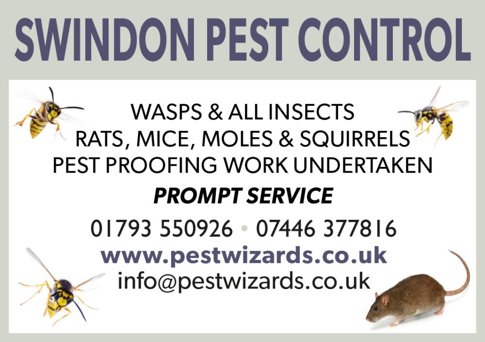 <strong>Pest Wizards</strong>