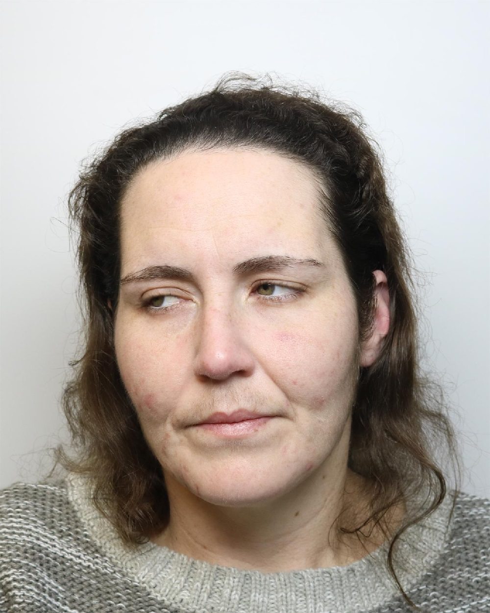 Swindon Woman Sentenced For Theft And Fraud Offences 