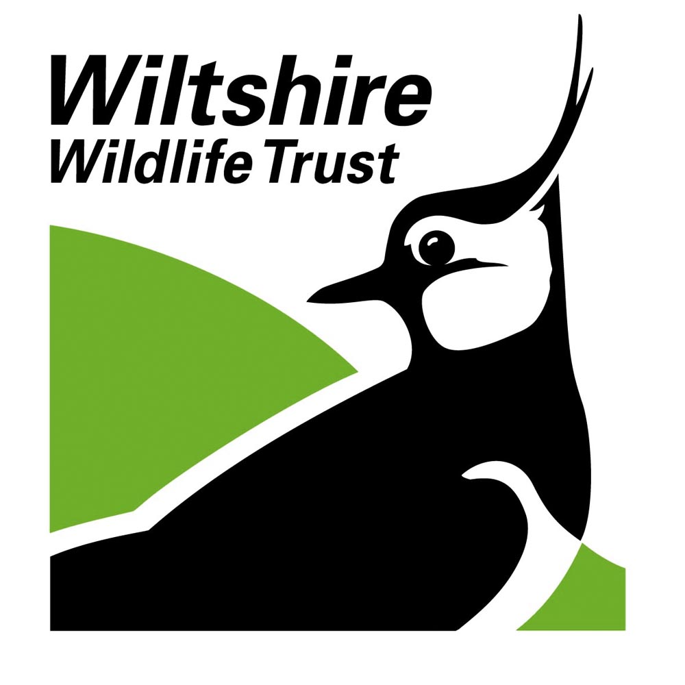 Wiltshire Wildlife Trust launches new group in Swindon offering ...